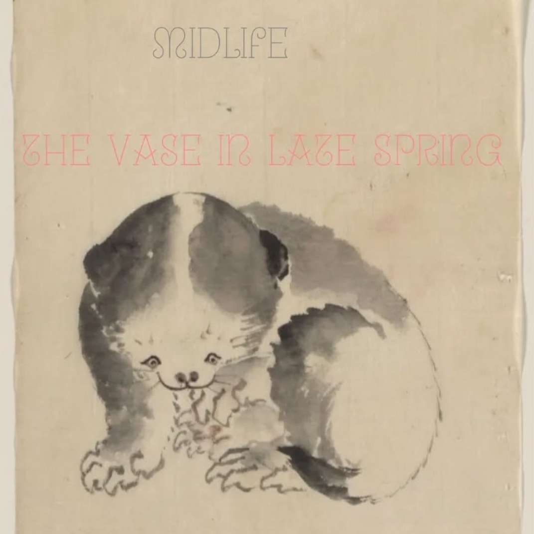 Midlife